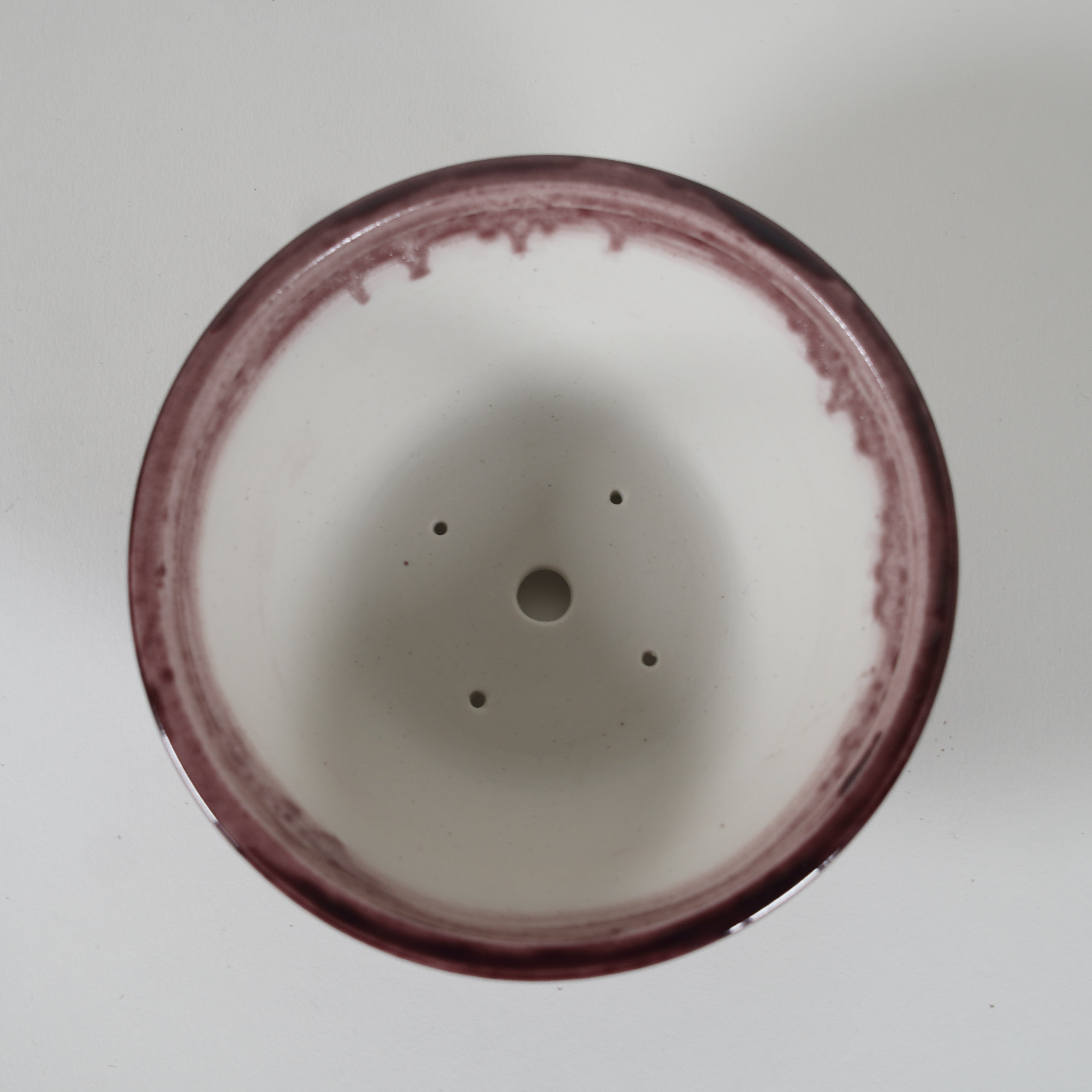 Bonsaï Pot / Marquetrante violette