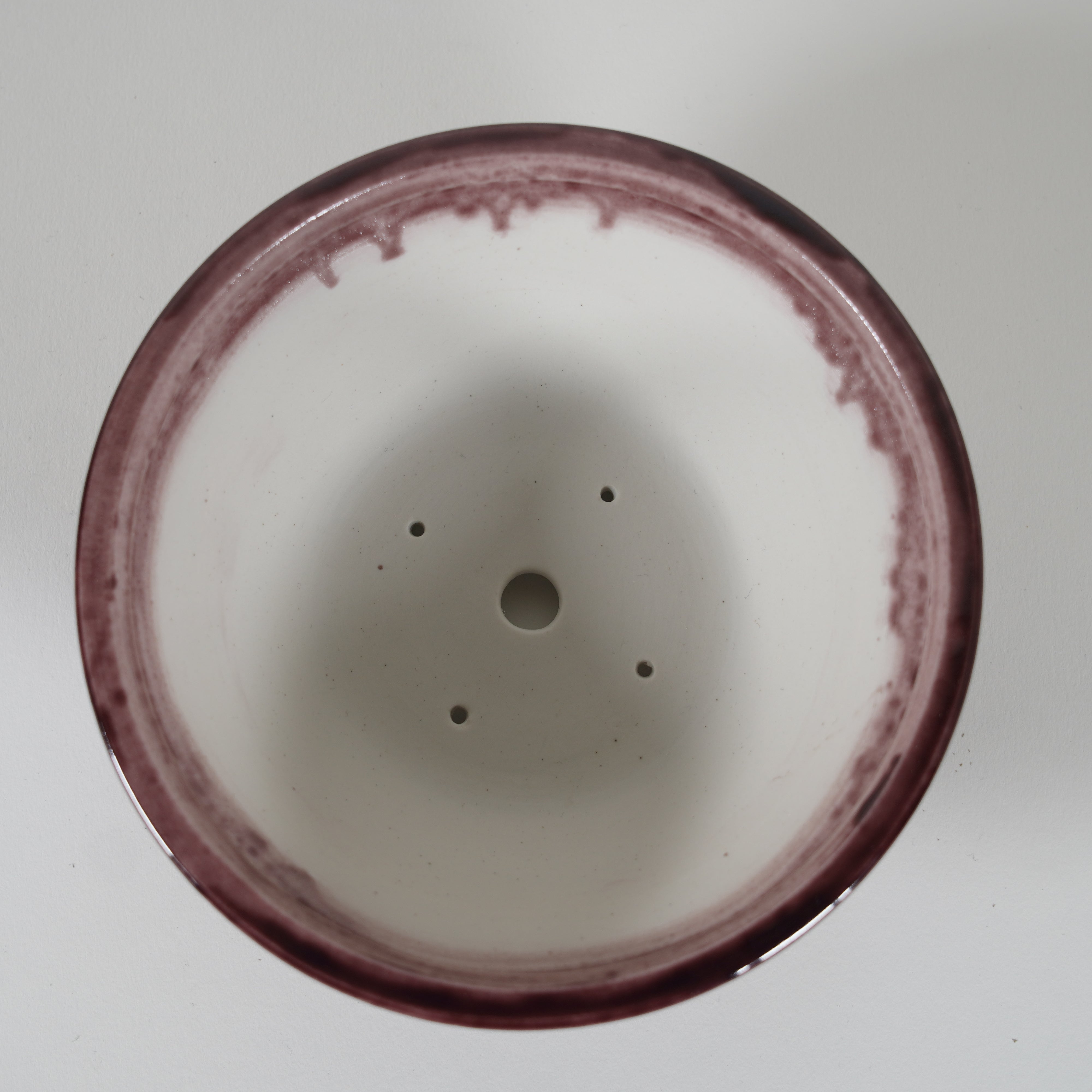 Bonsaï Pot / Marquetrante violette