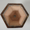 Ippon Hexagonal Bonsai Pot