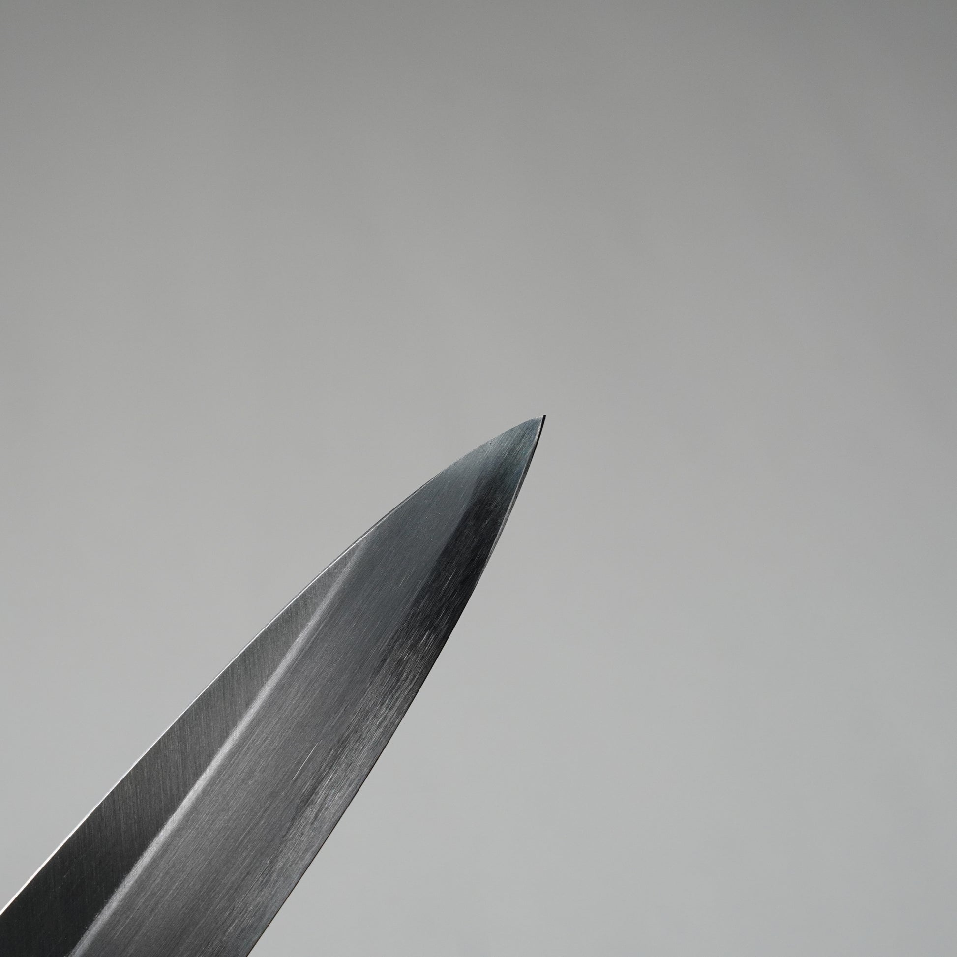 Sashimi Knife / 210mm – Suigenkyo Online Store