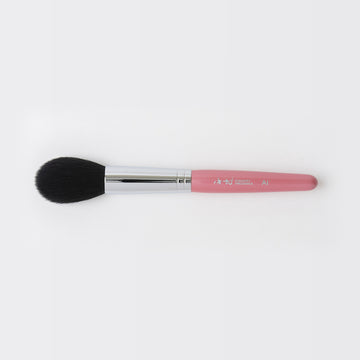 Makeup Highlight Brush / Equisetum Shape / Ai Series