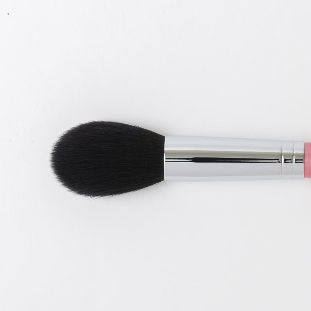 Makeup Highlight Brush / Equisetum Shape / AI Series