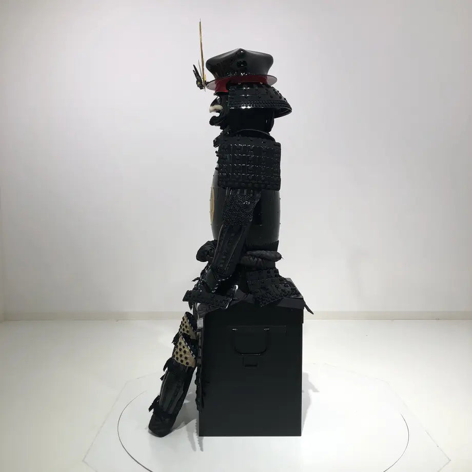 Tokugawa ieyasu / ciruela