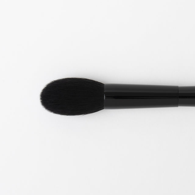 Présentation de la forme de maquillage / de la forme / milieu Equisetum