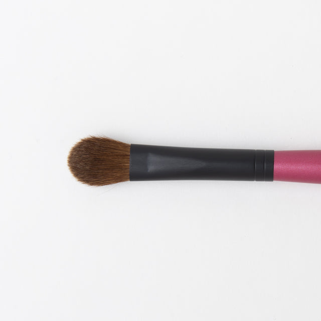 Brusque de fard à paupières de maquillage / Grande / Nao Series